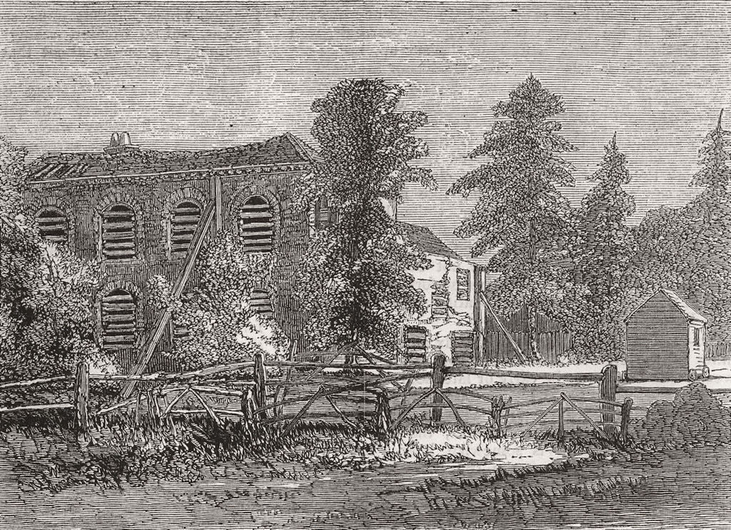 HERTS. Tom Tiddler's Ground. Uninhabited house 1874 old antique print picture